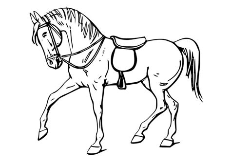 Het enige is nu nog een kleurplaat kiezen, printen en kleuren maar. Kleurplaat paard. Gratis kleurplaten om te printen - afb ...