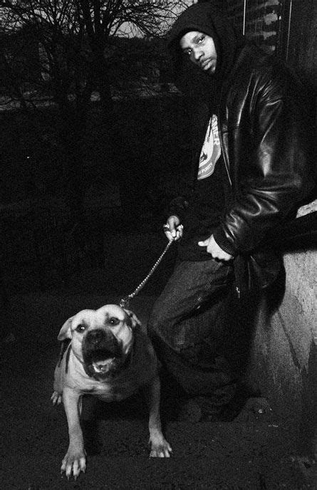 ℗ 2003 umg recordings, inc. Pin by Natalia Law on Animals | Hip hop and r&b, Hip hop ...