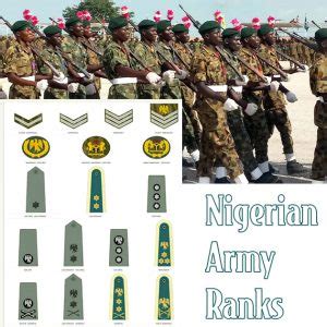 Army is essential thing for every country. Nigerian Army Ranks and Salary Structure | Top Nigerian Jobs