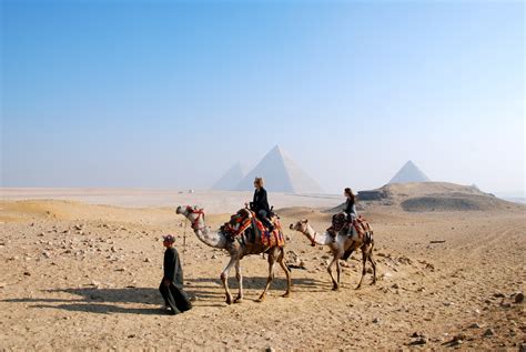 Well.he brought his camel to a screeching halt in all of a sudden, the sultan walked in. Megan in Bulgaria: Pyramids, Camel Rides, and ANCIENT Egypt