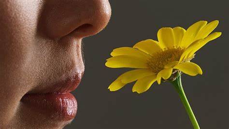 Your feeling of smell can say a great deal regarding your wellbeing