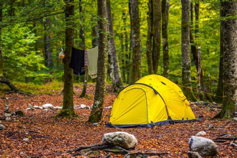 Best Shtf Tent To Take On The Go Prep Plans