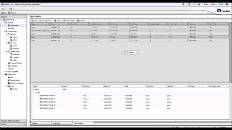 Oncommand System Manager Deleting An Aggregate By Nicholas Lee Fagan