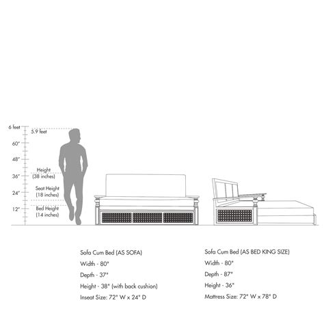 Cochin Sofa Cum Bed