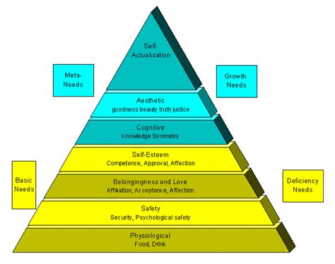 His theory is one popular and extensively cited theory of motivation. Maslow's Theory of Motivation - TET Success Key