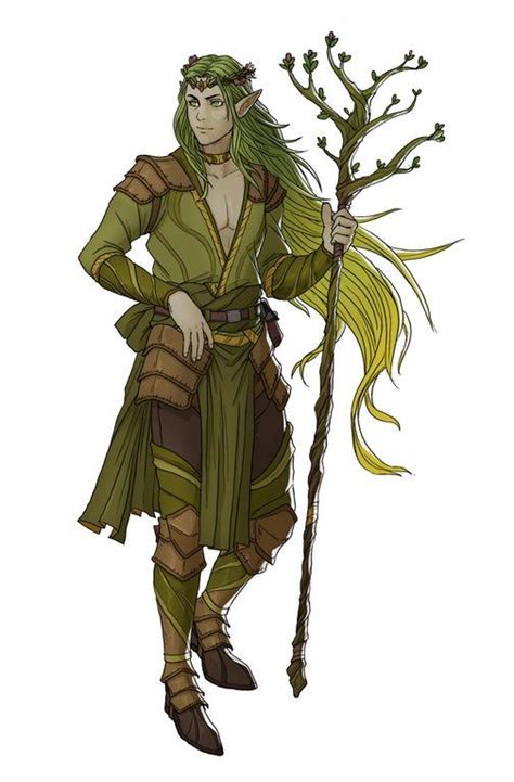 Oc Ferryn An Eladrin Elf Druid Characterdrawing Elf Characters