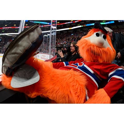 A day after watching his montreal canadiens get eliminated from the 2014 stanley cup playoffs by the new york rangers, the mascot had to start paying up on a bet made with jimmy fallon. Montreal Canadiens mascot Youppi