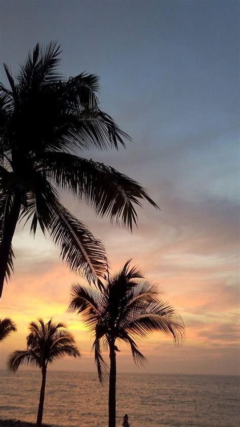 Palmeras Fondo Sky Aesthetic Sunset Beach Puerto Vallarta Hd