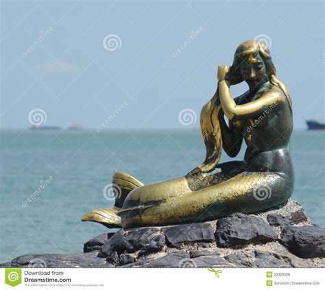 Golden Mermaid Stock Photo Image Of Shiny Statue Fish 22329328