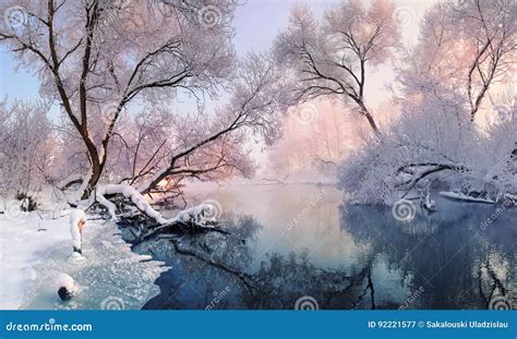 Mostly Calm Winter River Surrounded By Trees Covered With Hoarfrost