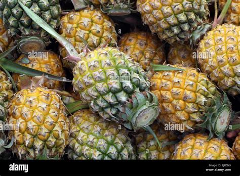 Fresh Pineapple At Fruit Market Stock Photo Alamy