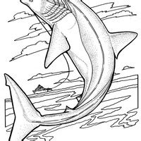 Desenho de Tubarão nadando no mar para colorir Tudodesenhos