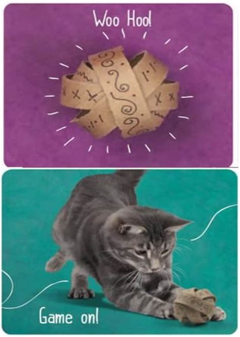 47 Brilliant Easy Homemade Diy Cat Toys For Your Furry Friend Diy Cat