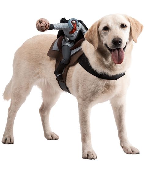 Have fun, use your imagination, and be sure to pick a name that you'll be comfortable saying well beyond october 31st. Dog Riders Headless Horseman Pet Costume