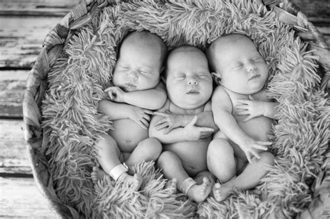 Pin On Identical Triplets