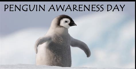 Penguin Awareness Day Peytons View