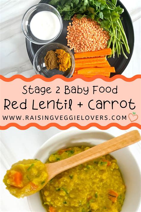 Red Lentil Carrot Baby Food Mash Recipe Easy Baby Food Recipes