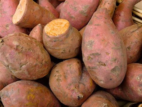 Süßkartoffeln sind reiche quellen von vitamin a und b und haben eine gute rate von mineralien wie phosphor, kalzium, eisen und kalium. Herzhaft & süß: Süßkartoffel Kuchen Rezept