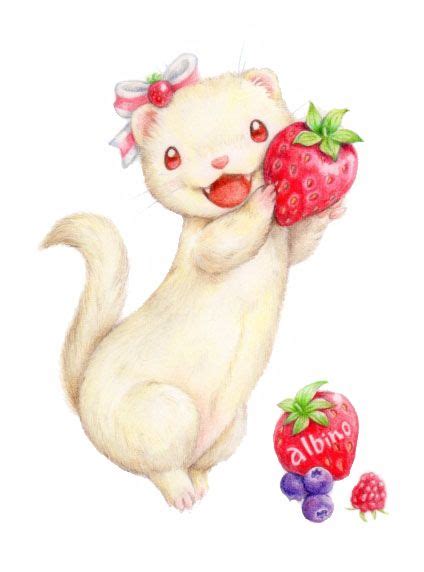 Kei Naito Albino Ferret Cute Drawings Cute Ferrets Cute Animal