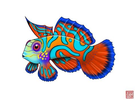 Download Mandarinfish Clipart For Free Designlooter 2020 👨‍🎨