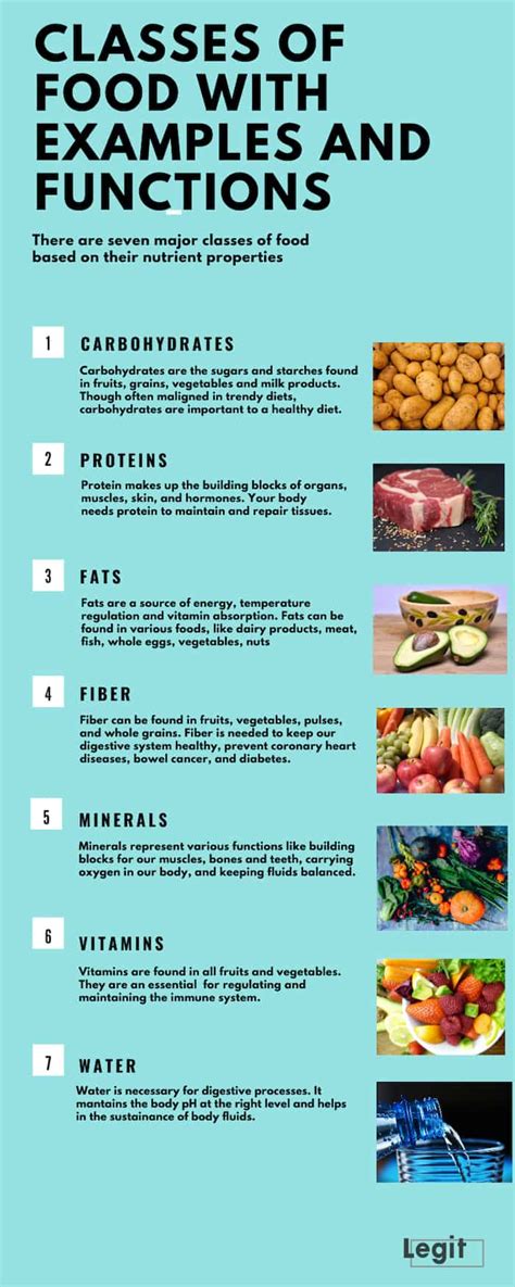 The basic classes of food with examples, functions and pictures