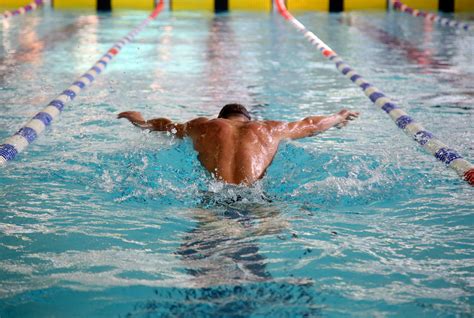 Natation Neuilly Sur Marne