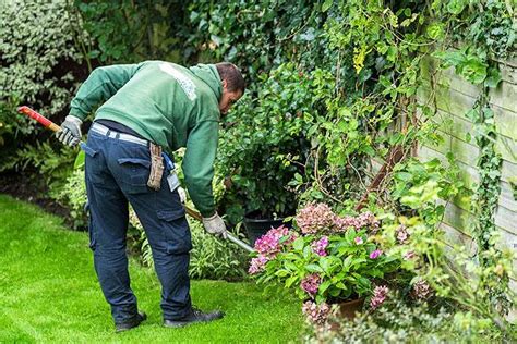 Fantastic Services Keep A Garden Intact With Pro Garden Maintenance In