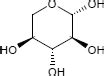 Oxidation der aldehydgruppe nicht möglich. Xylose