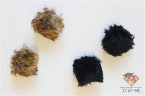 Small Pet Sensory Table - Mighty Scholars Preschool