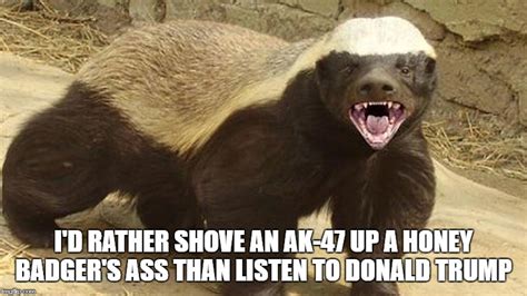 Honey Badger Dont Care Imgflip