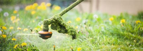 Benefits Of Professional Lawn Care Services Nw Evergreen Landscape Llc