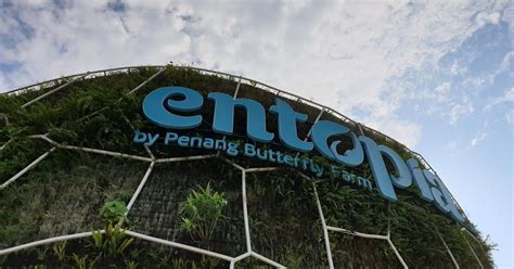 Tempat Menarik Di Pulau Pinang Entopia By Penang Butterfly Farm Bukan