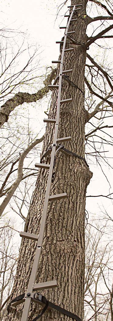 Get In Your Stand Picking The Best Climbing Sticks