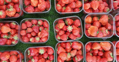Ianya juga mempercepatkan penyembuhan luka sistem peranakan dan dapat member tenaga kepada ibu lepas bersalin. 7 Jus untuk Kesuburan Rahim, Pilih Buah yang Kamu Suka ...