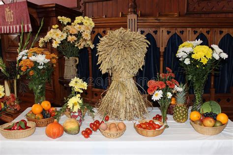 Harvest Festival Display With Sheaf Of Corn Stock Photo