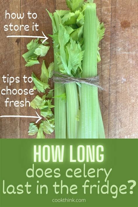 How Long Does Celery Last In The Fridge Cookthink