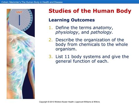 Ppt Chapter 1 Organization Of The Human Body Powerpoint Presentation