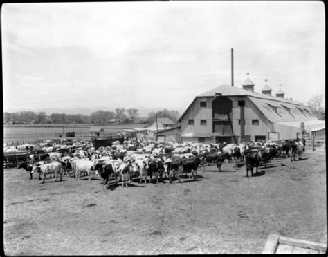 Park Hill Neighborhood History Denver Public Library History