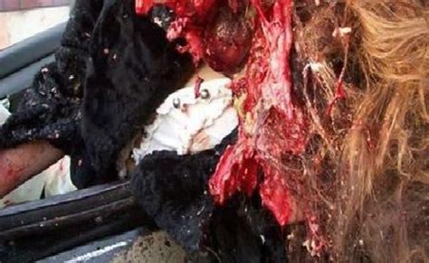 Nikki Catsouras Death Scene Pics Images Video Went Viral On Twitter