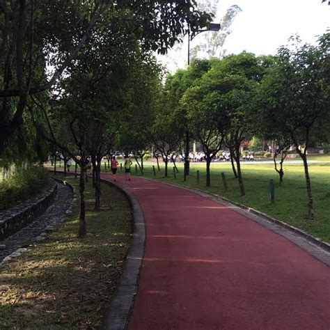 It certainly entices many birders to be there. Route : Taman Tasik Permaisuri - lariansebuahkitab