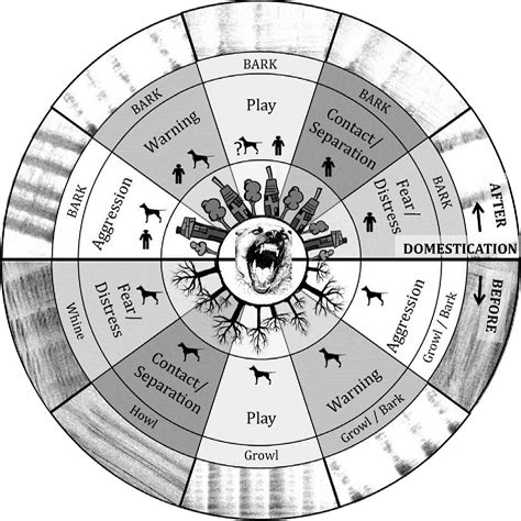 Figure 1 From Modeling Evolutionary Changes In Information Transfer