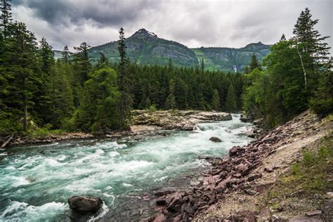The Wild And Scenic Middle Fork River In Glacier Park Montana Great