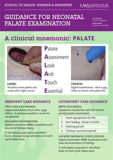 Pdf Guidance For Neonatal Palate Examination A Clinical Mnemonic