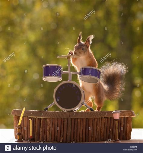 Drum Cut Out High Resolution Stock Photography And Images Alamy