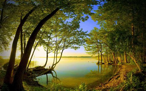 The Best 3d Nature Wallpapers For Desktop Wallpapers Pinterest 3d