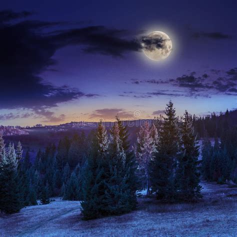 1674 Moon Over Mountain Forest Photos Free And Royalty Free Stock