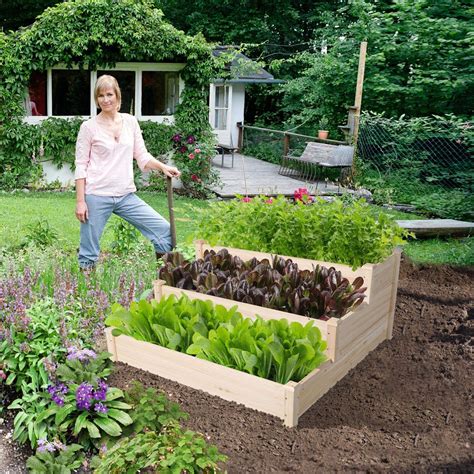 Top Best Raised Bed Gardens In Reviews Top Best Pro Review