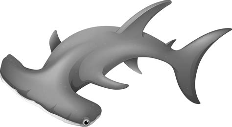 Hammerheadshark Png Clipart Hammerhead Shark Transparent Background