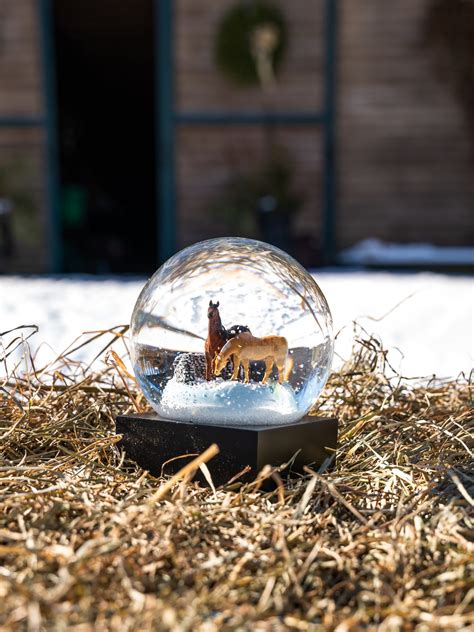 Horses Snow Globe Popular Athletic For All The People Kitchen