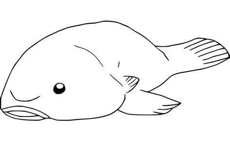 Blobfish Coloring Pages - Free Printable Coloring Pages for Kids